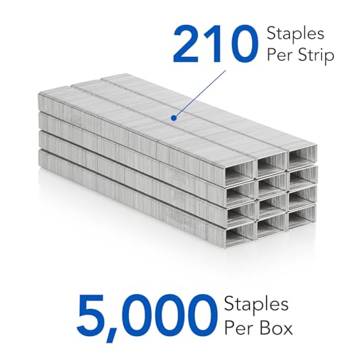 Minimalist Swingline, S.F. 1 Standard Staples Set