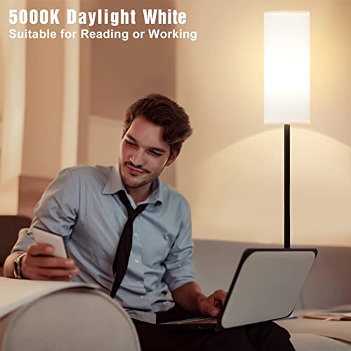 upgraded Ambimall Floor Lamps for Living Room, 64" Modern Floor Essentials